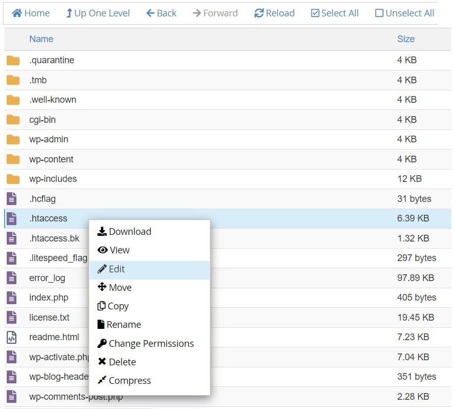 Cpanel File manager - htaccess file